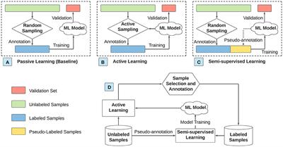 Spectroscopy Approaches for Food Safety Applications: Improving Data Efficiency Using Active Learning and Semi-supervised Learning